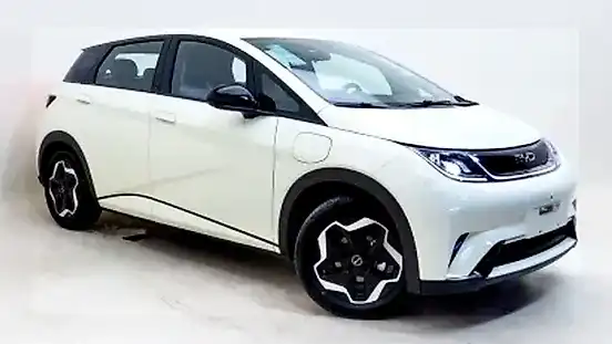 Foto de um byd dolphin mini