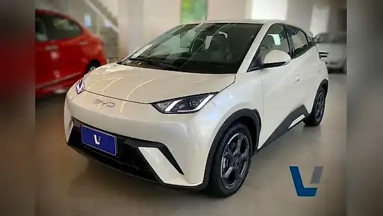 Foto de um byd dolphin mini