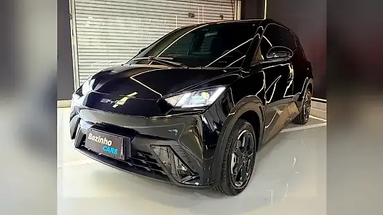 Foto de um byd dolphin mini