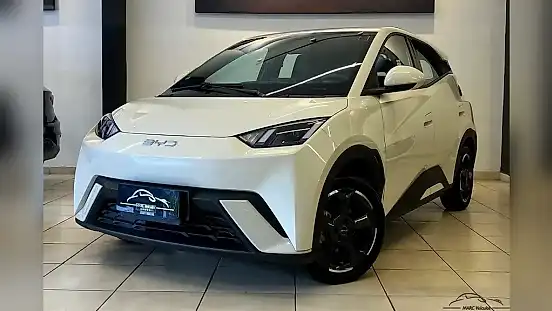 Foto de um byd dolphin mini