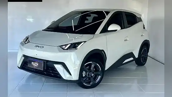 Foto de um byd dolphin