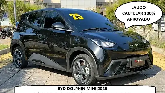 Foto de um byd dolphin mini