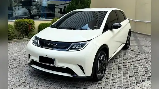 Foto de um byd dolphin