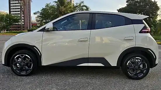 Foto de um byd dolphin mini
