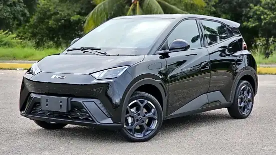 Foto de um byd dolphin mini