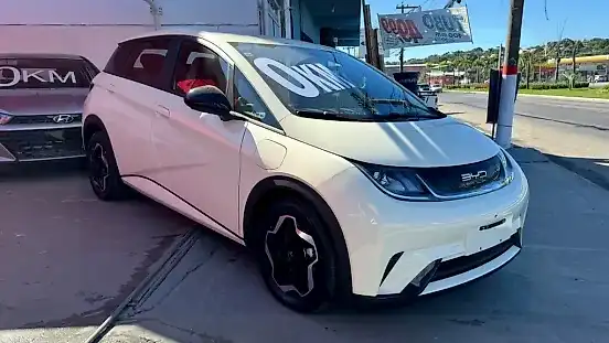 Foto de um byd dolphin