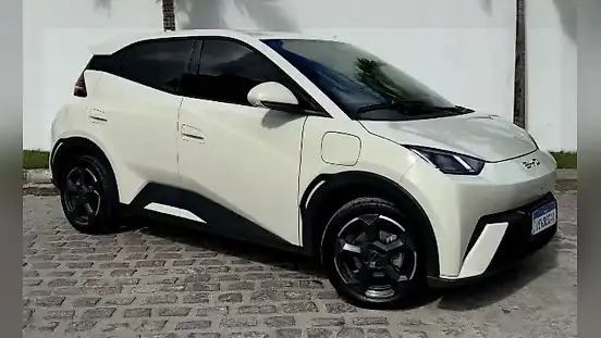 Foto de um byd dolphin mini