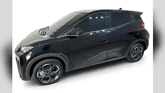 Foto de um byd dolphin mini