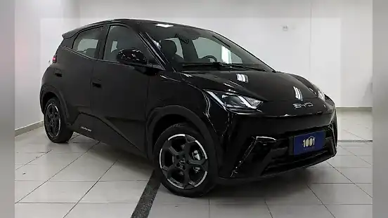 Foto de um byd dolphin mini