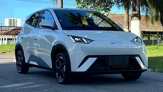 Foto de um byd dolphin mini