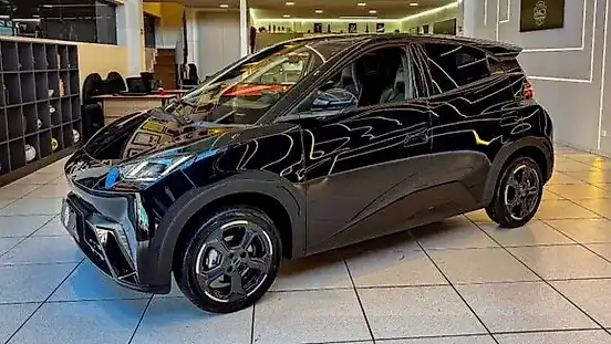 Foto de um byd dolphin mini