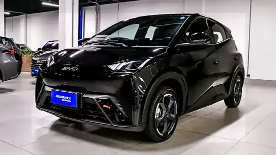 Foto de um byd dolphin mini
