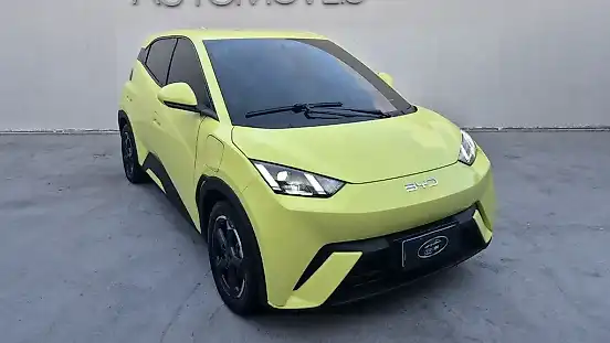 Foto de um byd dolphin mini