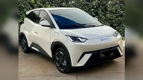 Foto de um byd dolphin mini