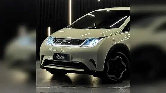 Foto de um byd dolphin