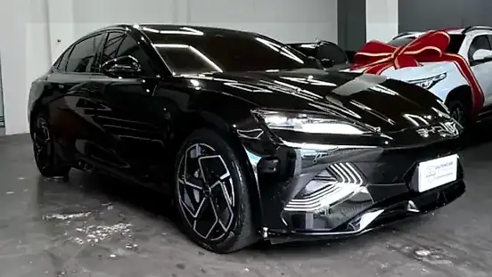 Foto de um byd seal