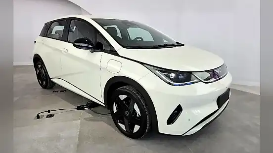Foto de um byd dolphin