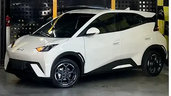 Foto de um byd dolphin mini