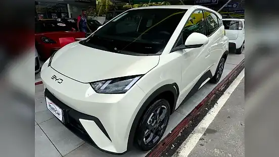Foto de um byd dolphin mini
