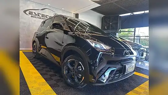Foto de um byd dolphin