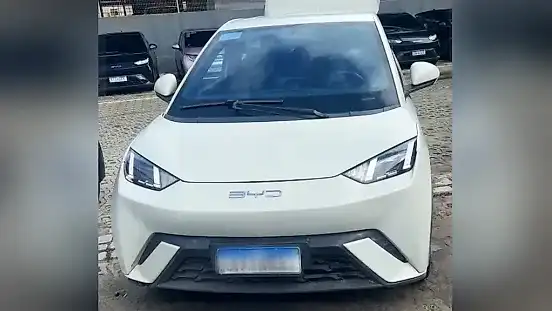 Foto de um byd dolphin mini