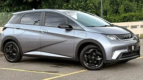 Foto de um byd dolphin