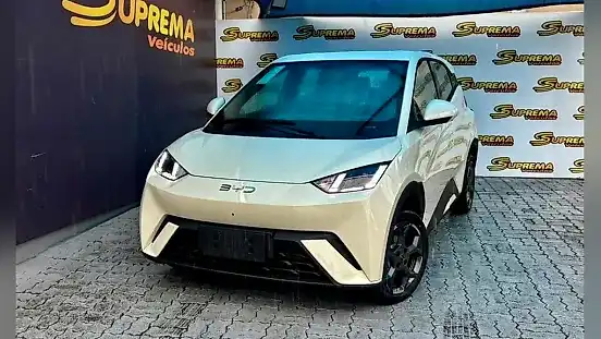Foto de um byd dolphin mini