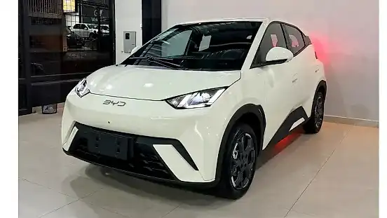 Foto de um byd dolphin mini