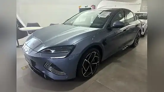Foto de um byd seal
