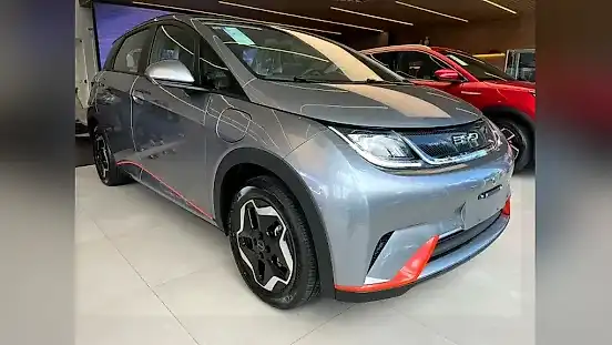 Foto de um byd dolphin