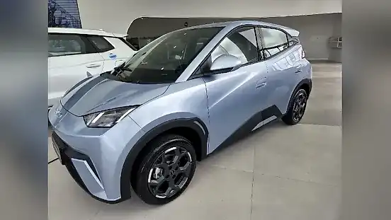 Foto de um byd dolphin