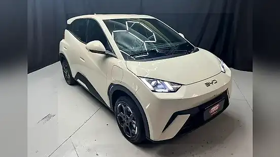 Foto de um byd dolphin mini