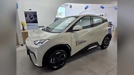 Foto de um byd dolphin mini