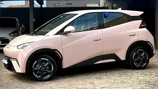 Foto de um byd dolphin mini