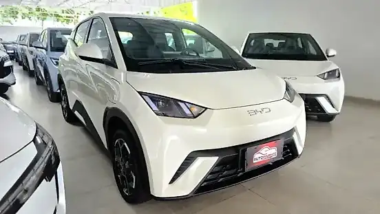 Foto de um byd dolphin mini