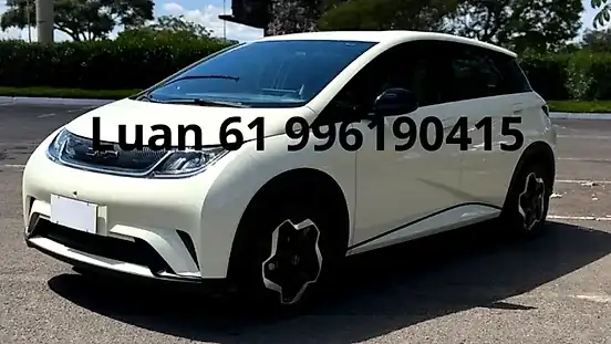 Foto de um byd dolphin