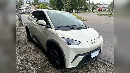 Foto de um byd dolphin mini