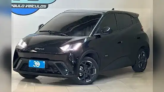 Foto de um byd dolphin mini