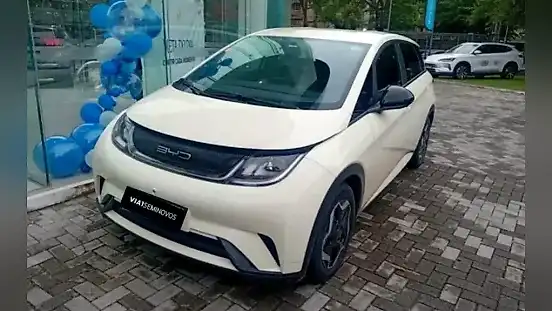 Foto de um byd dolphin