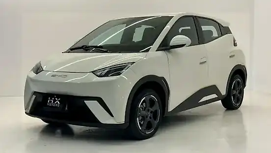 Foto de um byd dolphin mini