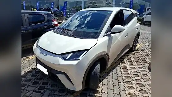 Foto de um byd dolphin mini