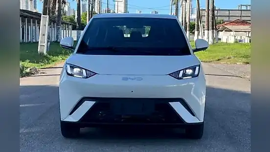 Foto de um byd dolphin mini