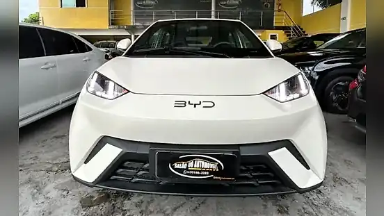 Foto de um byd dolphin mini
