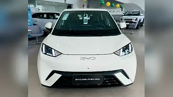 Foto de um byd dolphin mini