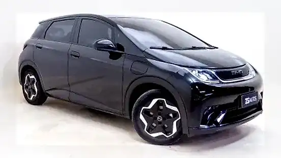 Foto de um byd dolphin