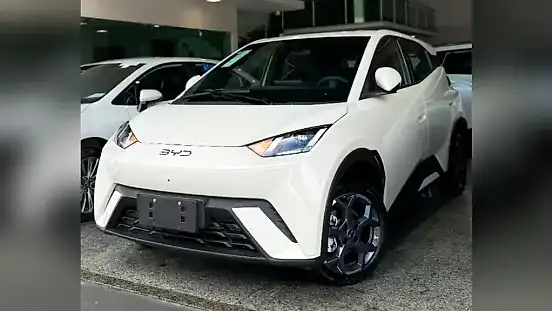 Foto de um byd dolphin mini