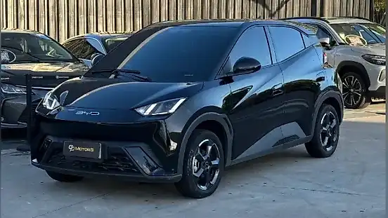 Foto de um byd dolphin mini