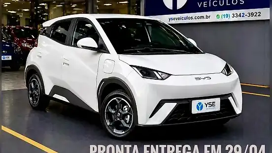 Foto de um byd dolphin