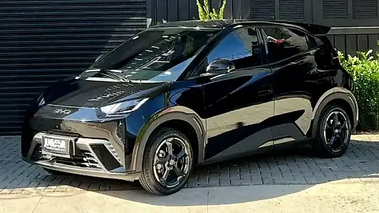 Foto de um byd dolphin