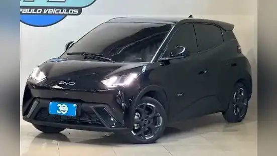 Foto de um byd dolphin mini